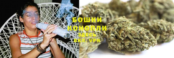 гидра Армянск