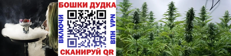 Бошки Шишки OG Kush Певек